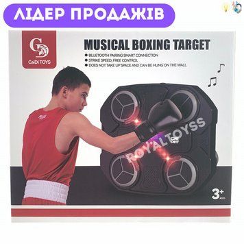 Настінна боксерська панель з Bluetooth та музичним супроводом 8818-1 (з рукавичками) 8818-1 фото